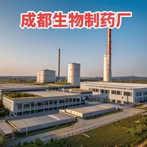 中小企业的变革催化剂 深度解析企业管理咨询的实战价值